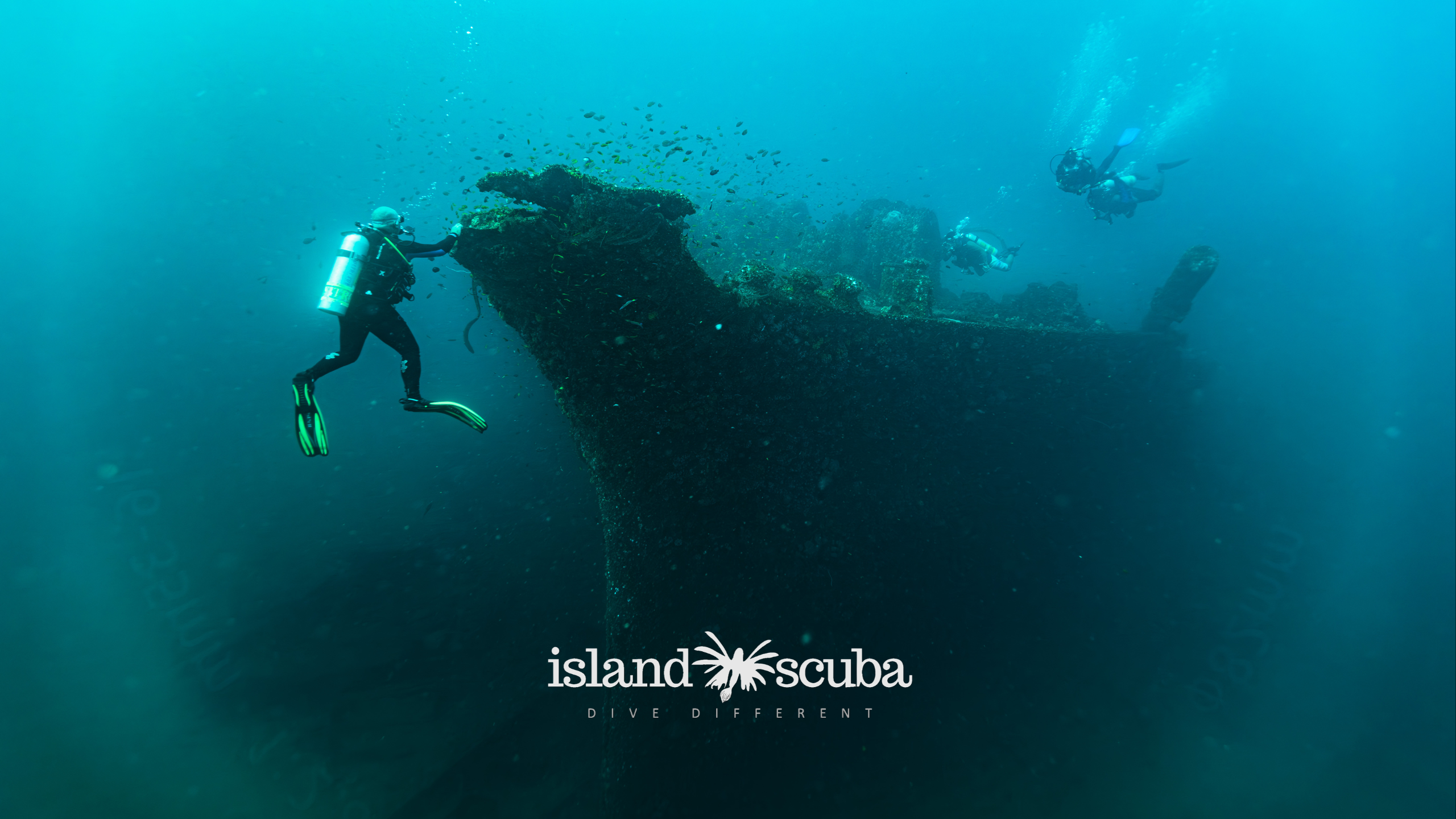 Chief Dragon Car Wreck island scuba 1