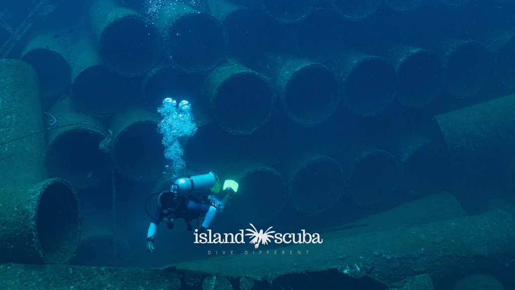 MV Thermopylae Sierra 1 - Island Scuba Colombo