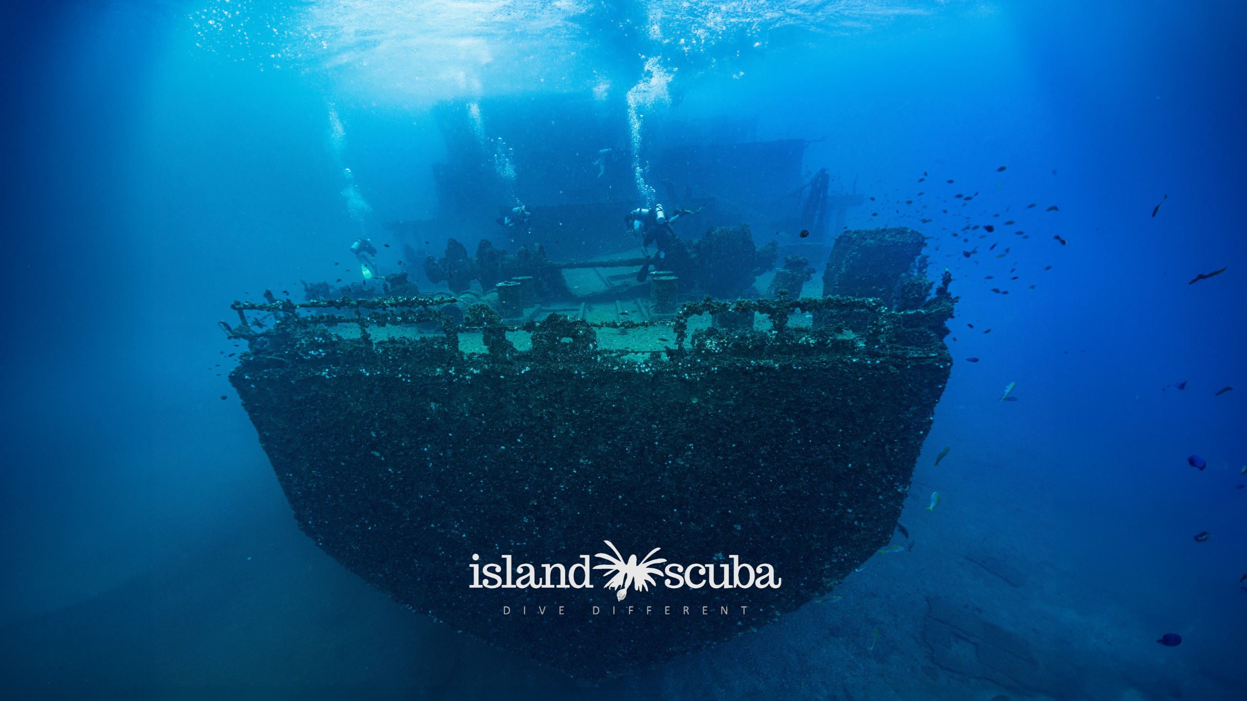 MV Thermopylae Sierra Island Scuba Colombo Sri Lanka