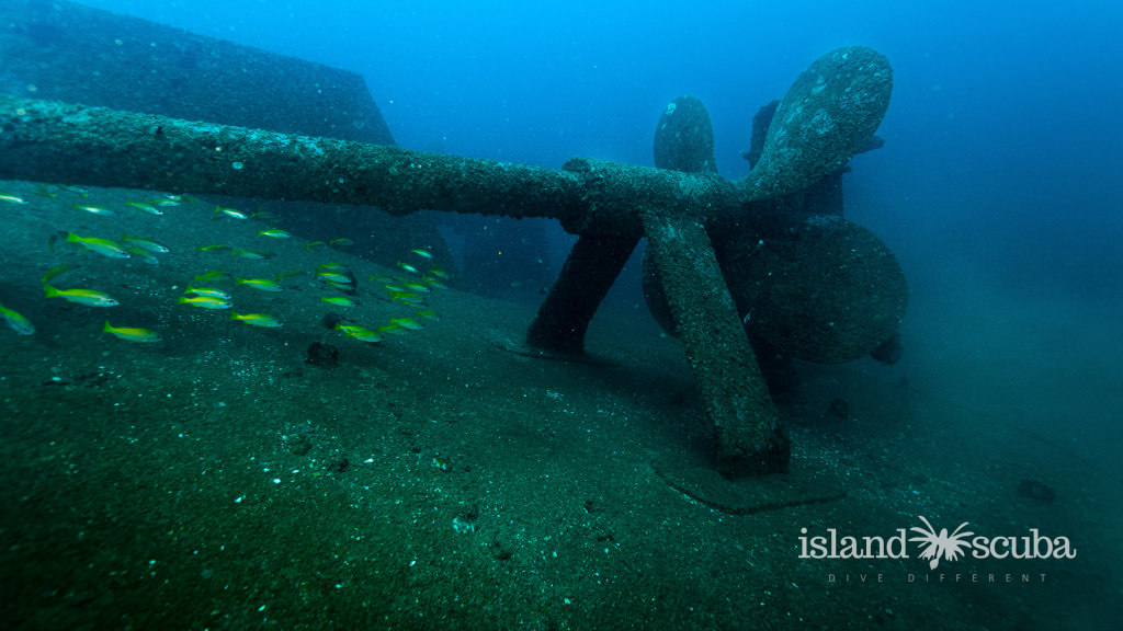 Nilgiri Tug Wreck island scuba
