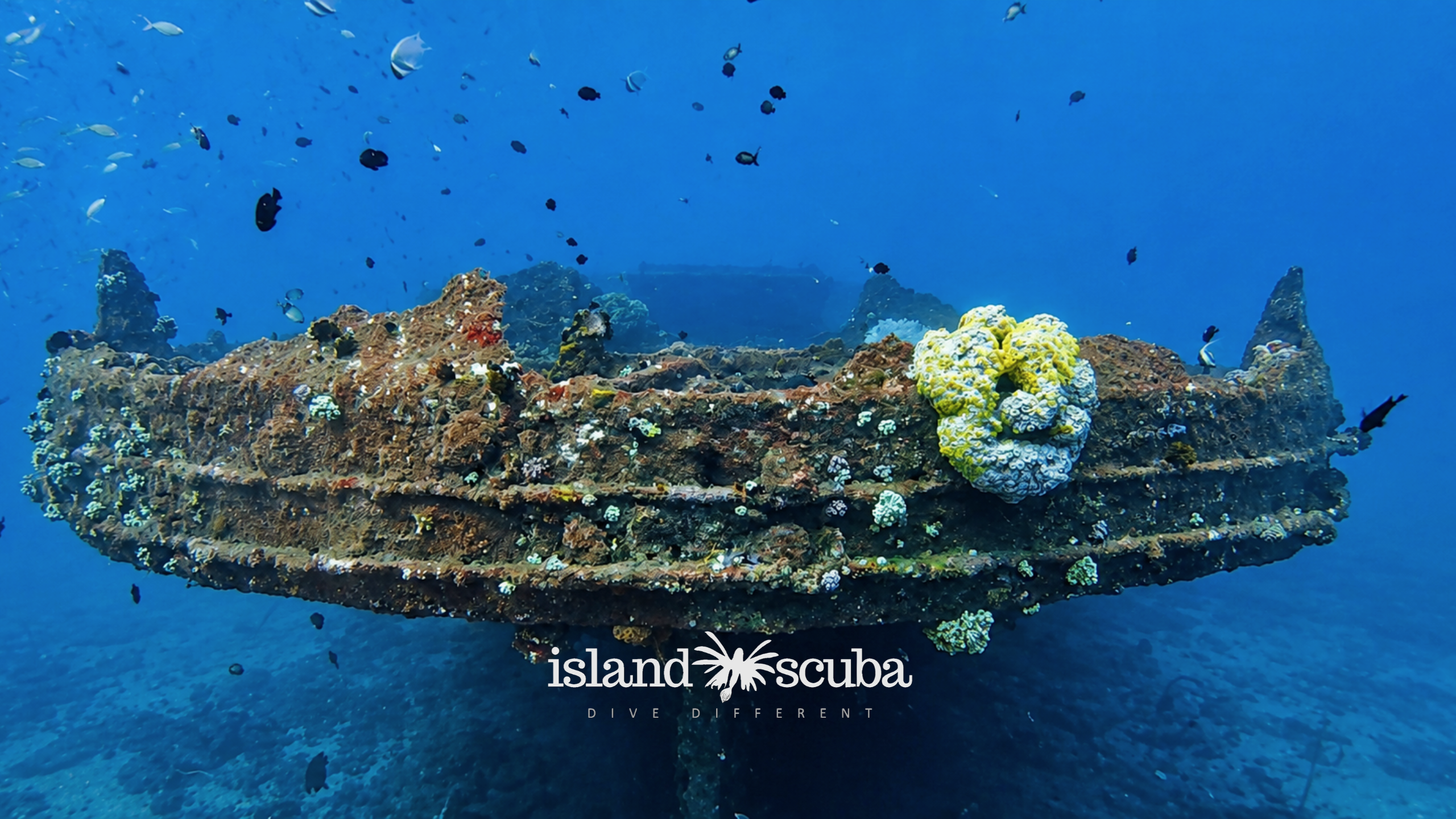 Clarkes Wreck island scuba 1