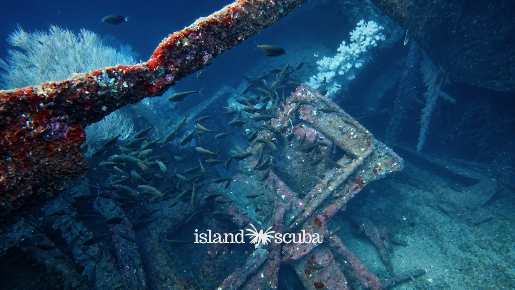 Clarke’s Wreck island scuba 2