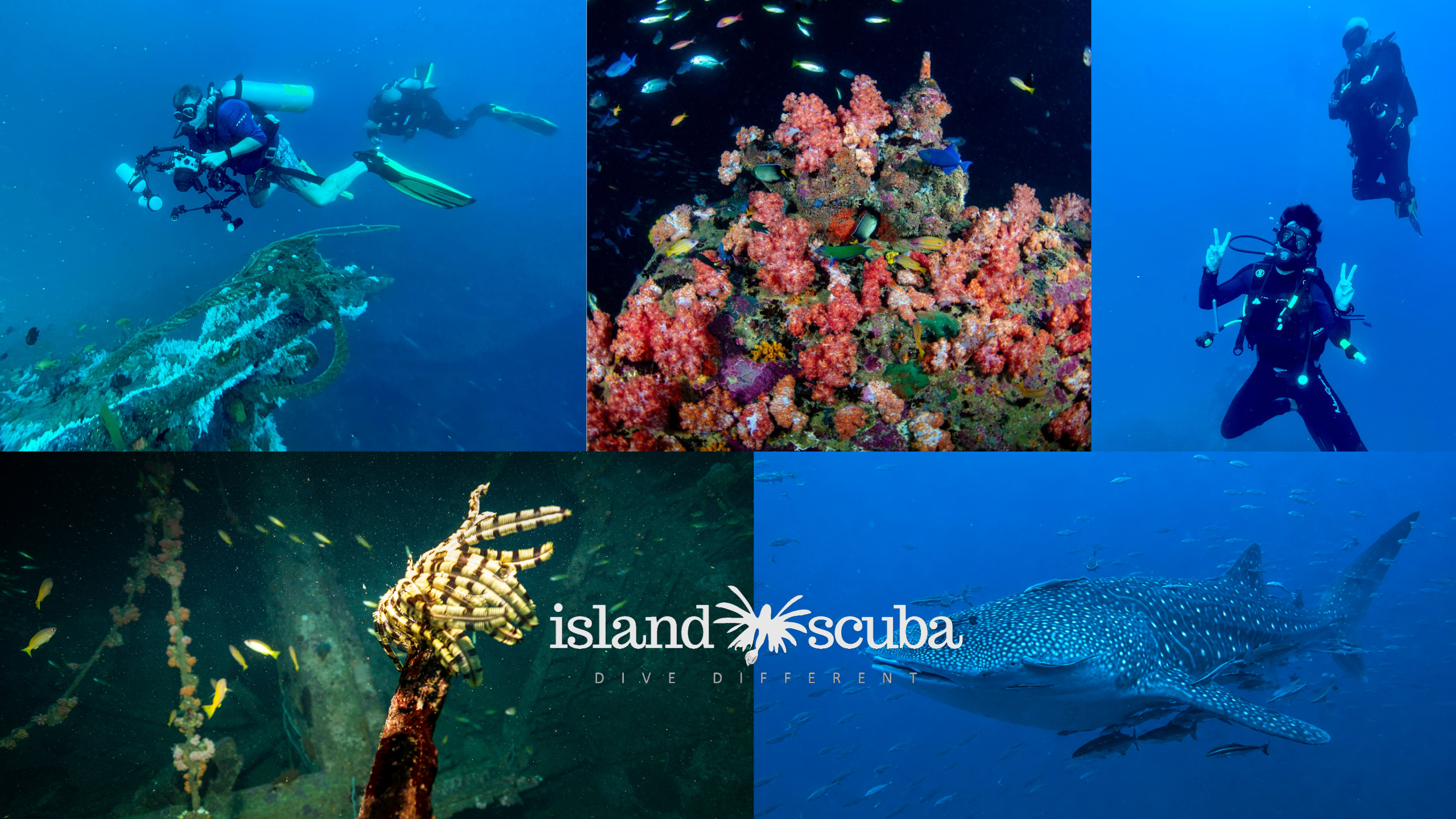 reefs and wrecks in colombo