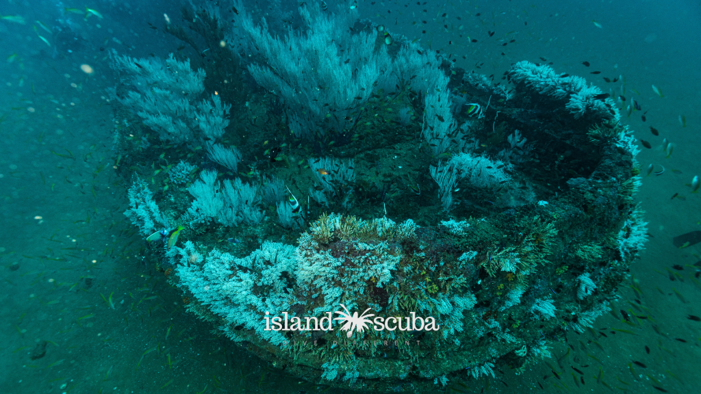 Lotus barge shipwreck island scuba 2