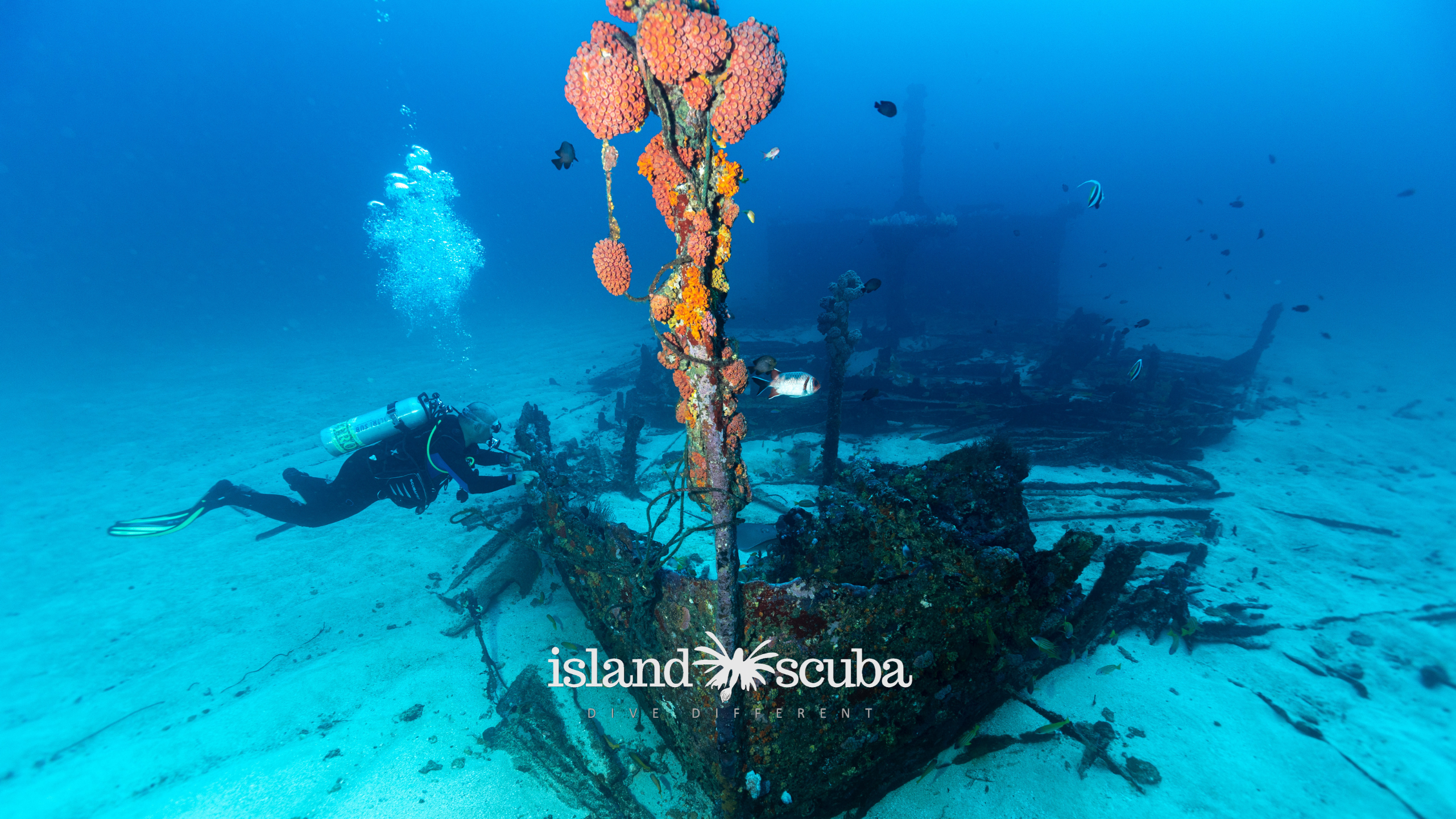 Taprobane East shipwreck island scuba
