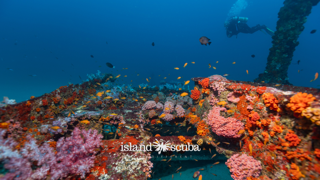 Taprobane East shipwreck island scuba 2 (1)