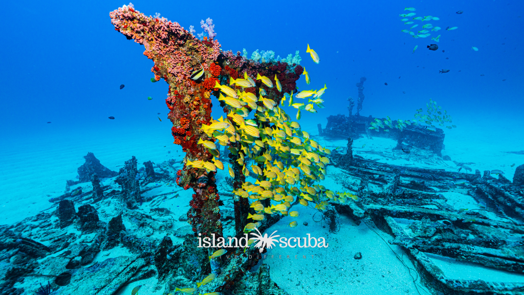 Taprobane East shipwreck island scuba